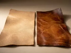 核心亮点