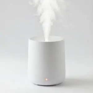 加湿器 桌面超声波静音款